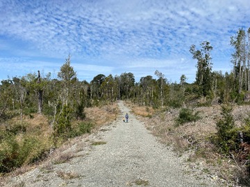Venta / Terreno / Ancud