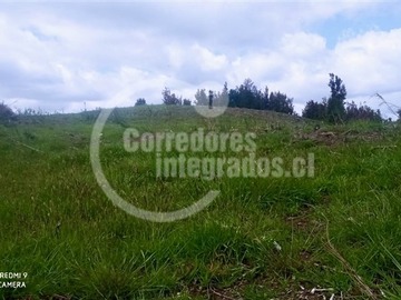 Venta / Terreno / Ancud