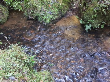 Imagen 6
