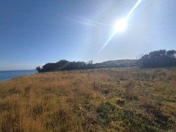 Venta / Terreno / Ancud