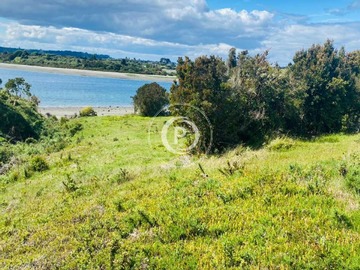 Venta / Terreno / Ancud