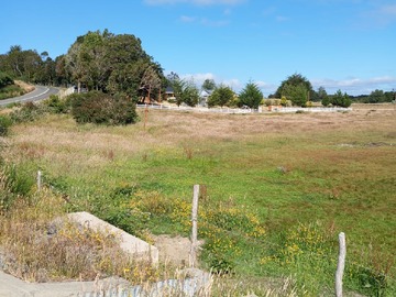 Venta / Terreno / Ancud