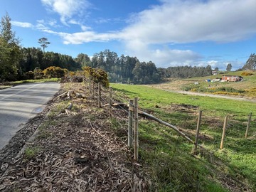 Venta / Terreno / Ancud