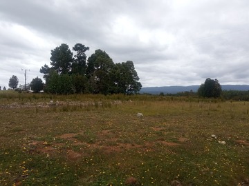 Lote 3