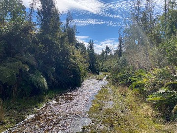 Venta / Terreno / Ancud