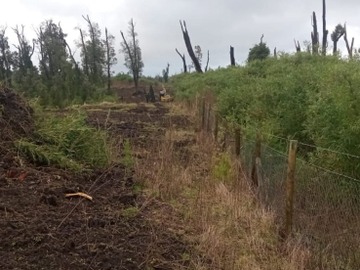 Venta / Terreno / Ancud