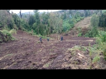 Imagen 6