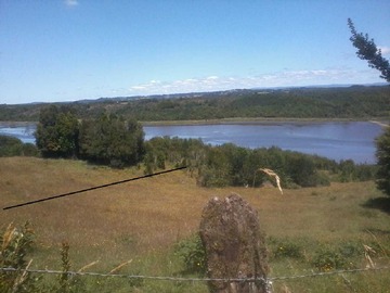 Venta / Terreno / Ancud