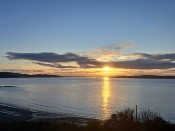 Venta / Terreno / Ancud