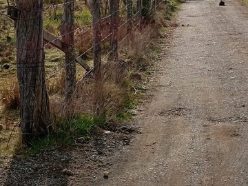 Camino público, acceso a la propiedad.