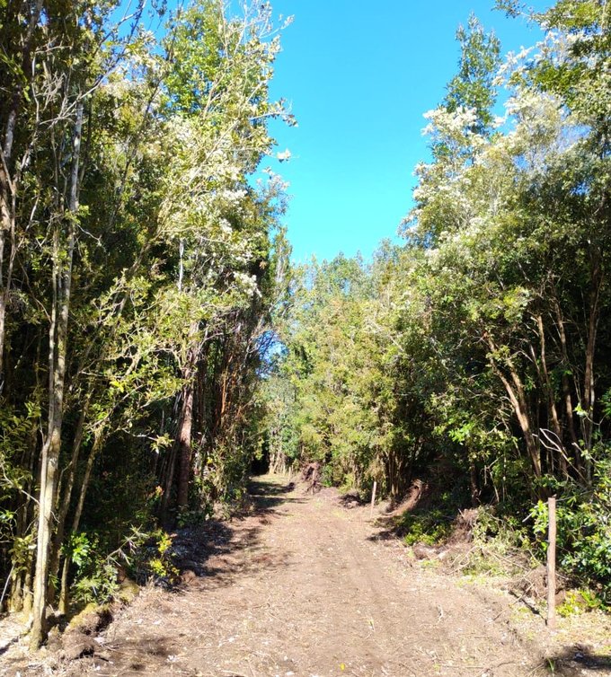 Camino interior