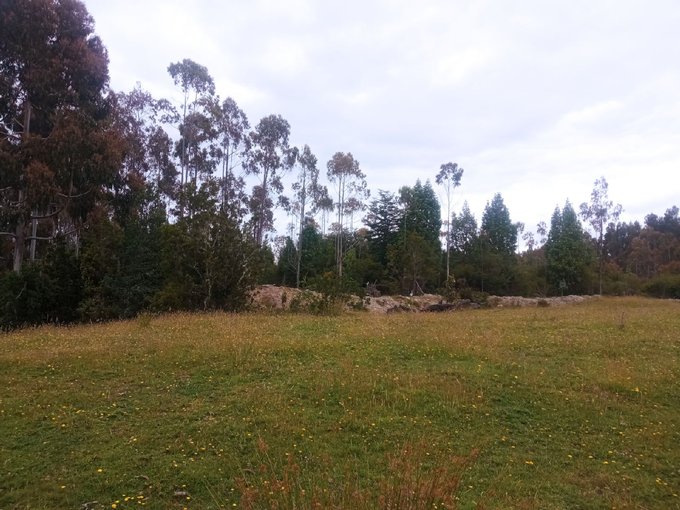 Lote 3