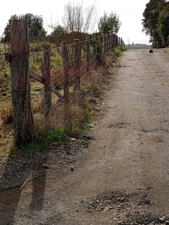 Camino público, acceso a la propiedad.