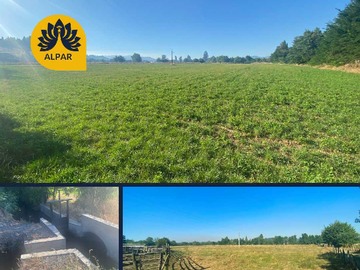 Venta / Terreno / Angol