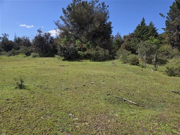 Venta / Terreno / Angol