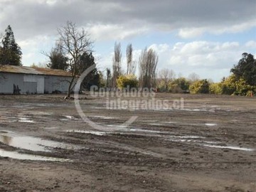 Imagen 7