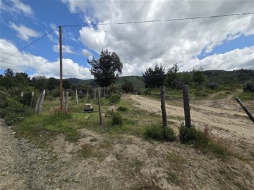 Imagen 9