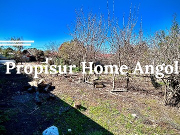 Venta / Terreno / Angol