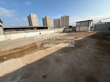 Imagen 11