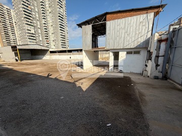 Imagen 4