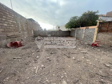 Imagen 5