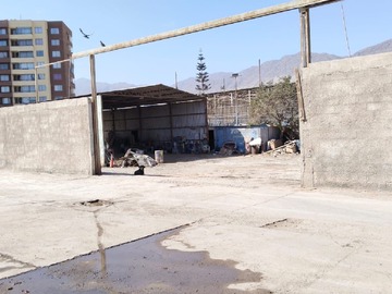 Imagen 5