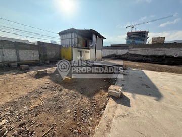 Imagen 13