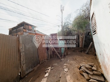 Imagen 5