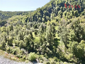 Imagen 8