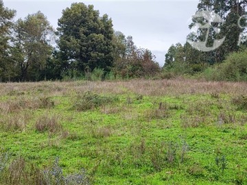 Venta / Terreno / Arauco