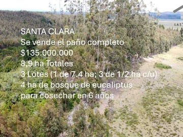 Imagen 12