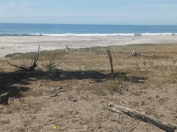 Venta / Terreno / Arauco