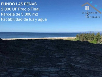 Imagen 8
