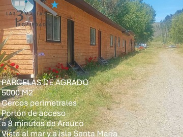 Imagen 14