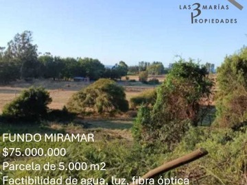 Imagen 6