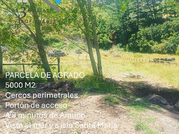 Imagen 16