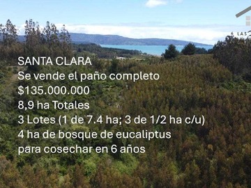 Imagen 11