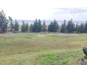Venta / Terreno / Arauco