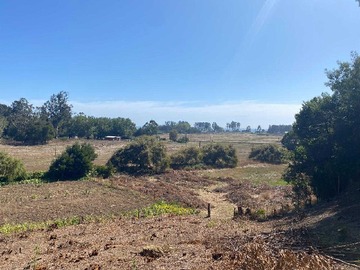 Venta / Terreno / Arauco