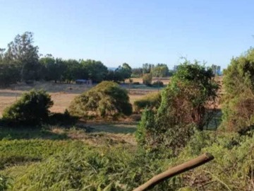 Venta / Terreno / Arauco