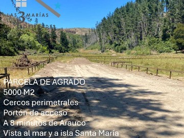 Imagen 17
