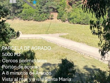Imagen 15