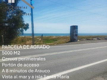 Imagen 18