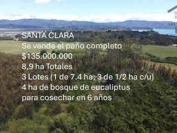 Imagen 13