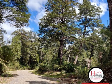 Venta / Terreno / Aysén