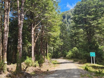 Venta / Terreno / Aysén