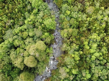 Venta / Terreno / Aysén