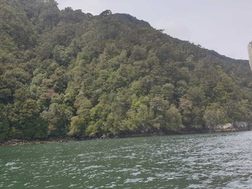 Venta / Terreno / Aysén