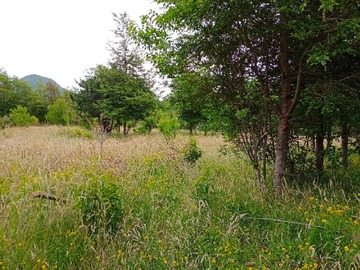 Venta / Terreno / Aysén