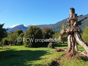 Imagen 4